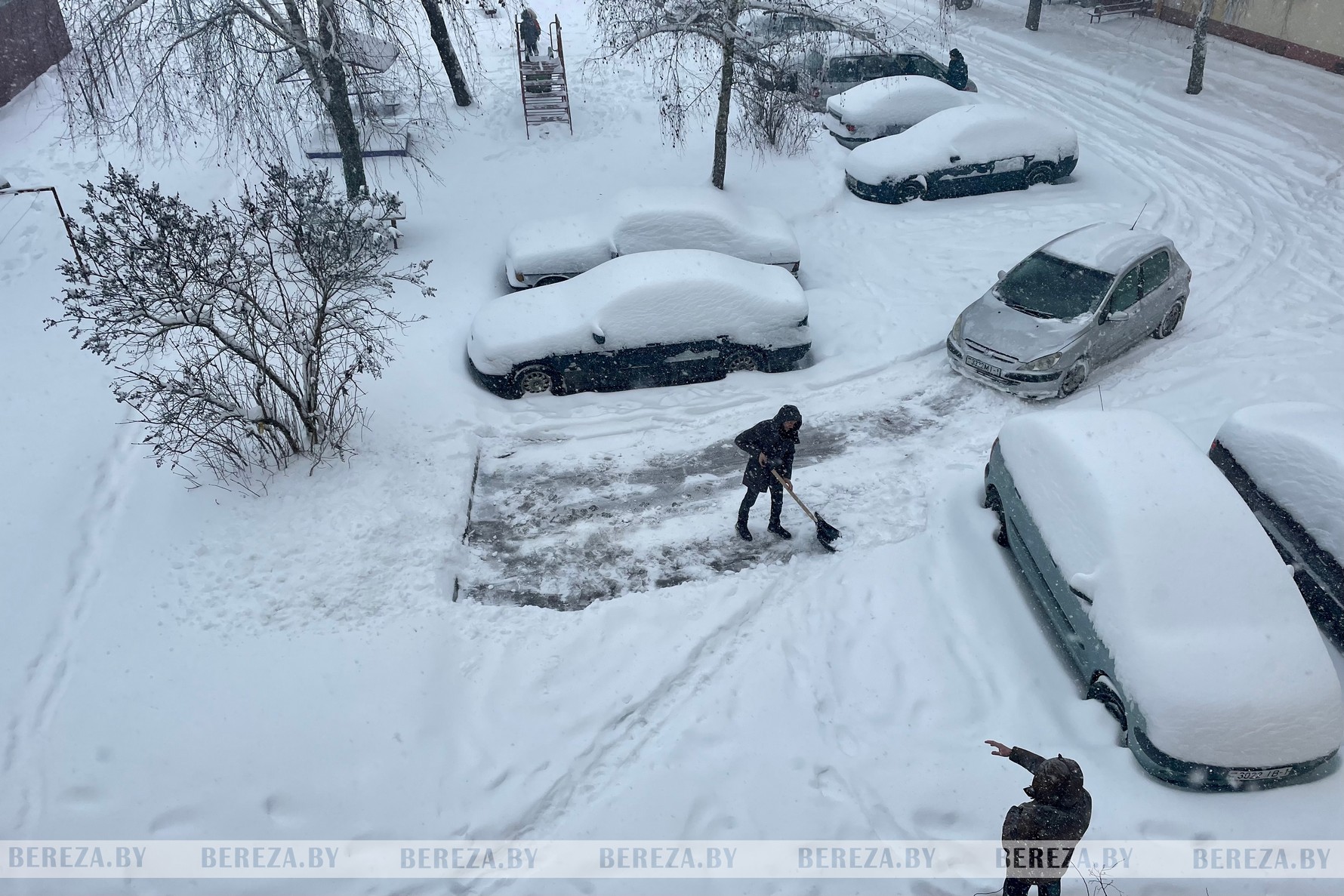 Березовский район накрыл сильный снегопад: как преодолеть последствия  стихии — BEREZA.BY